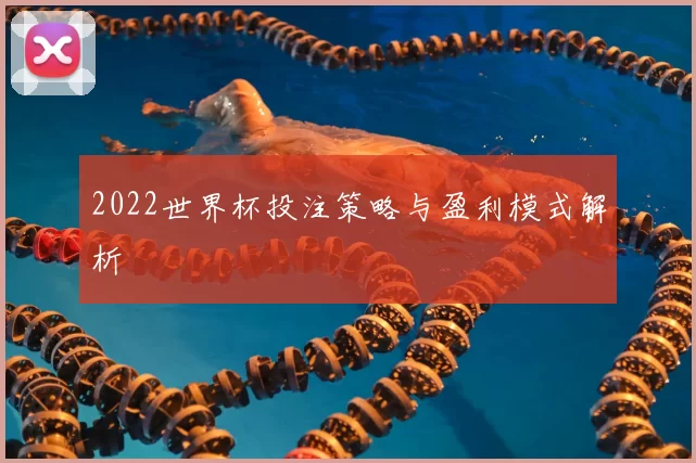 2022世界杯投注策略与盈利模式解析