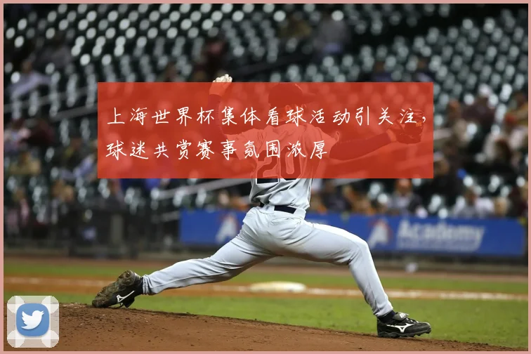 上海世界杯集体看球活动引关注，球迷共赏赛事氛围浓厚