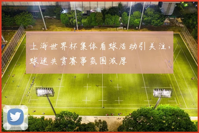 上海世界杯集体看球活动引关注,球迷共赏赛事氛围浓厚